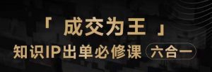 抖音知识IP直播登顶营(六合一),三倍流量提升秘诀,七步卖课实操演示,内容爆款必修指南-风淘社