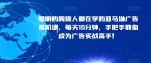 聪明的跨境人都在学的亚马逊广告高阶课，每天10分钟，手把手教你成为广告实战高手！-风淘社
