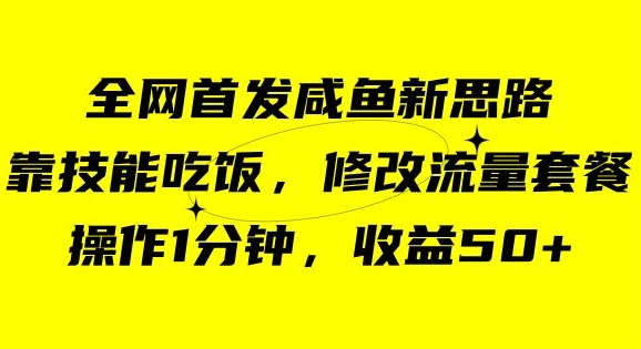 咸鱼冷门新玩法,靠“技能吃饭”,修改流量套餐,操作1分钟,收益50【揭秘】-风淘社