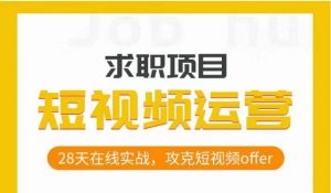 短视频运营求职实操项目，28天在线实战，攻克短视频offer-风淘社