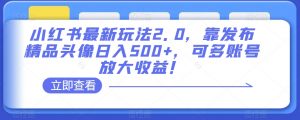 小红书最新玩法2.0，靠发布精品头像日入500+，可多账号放大收益！【揭秘】-风淘社