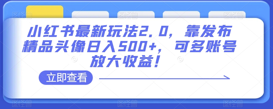 小红书最新玩法2.0,靠发布精品头像日入500+,可多账号放大收益!【揭秘】-风淘社