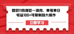 蹭双11热度吃一波肉,单号单日收益100+可复制放大操作【揭秘】-风淘社