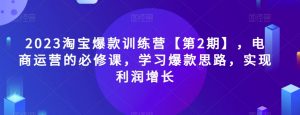 2023淘宝爆款训练营【第2期】，电商运营的必修课，学习爆款思路，实现利润增长-风淘社