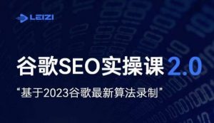 雷子·谷歌SEO 2.0实战课,独立站询盘自由必备,基于2023谷歌最新算法录制-风淘社