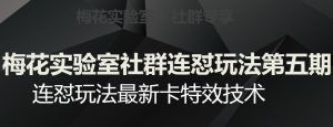 梅花实验室社群连怼玩法第五期，视频号连怼玩法最新卡特效技术-风淘社