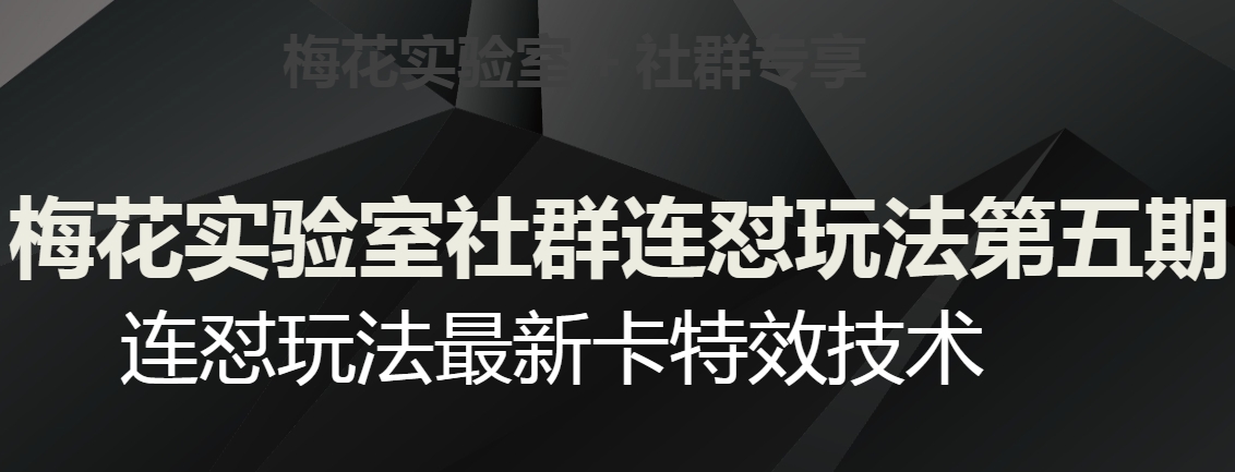 梅花实验室社群连怼玩法第五期，视频号连怼玩法最新卡特效技术-风淘社