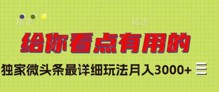 独家微头条最详细玩法，月入3000+【揭秘】-风淘社