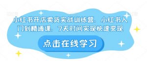 小红书开店卖货实战训练营,小红书入门到精通课,7天时间实现快速变现-风淘社