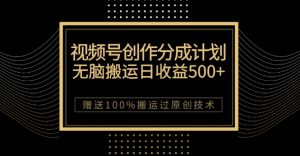 最新视频号创作分成计划,无脑搬运一天收益500+,100%搬运过原创技巧【揭秘】-风淘社