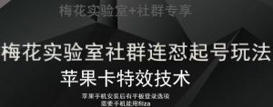 梅花实验室社群视频号连怼起号玩法，最新苹果卡特效技术-风淘社