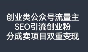 创业类公众号流量主,SEO引流创业粉,分成卖项目双重变现【揭秘】-风淘社
