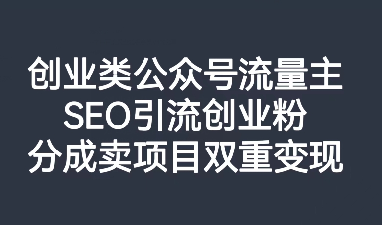 创业类公众号流量主,SEO引流创业粉,分成卖项目双重变现【揭秘】-风淘社