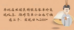 华佗在世国医精髓高客单价变现吸金,操作简单小白也可快速上手,实现日入2000+【揭秘】-风淘社