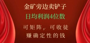 金矿旁边卖铲子，赚确定性的钱，可矩阵，可收徒，日均利润4位数【揭秘】-风淘社