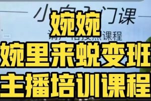 婉婉·婉里来蜕变班(主播课)全方位理解底层逻辑并灵活运用-风淘社