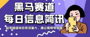 黑马赛道每日信息简讯，起号超级快自带流量大，通过视频号收益【揭秘】-风淘社