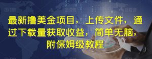 最新撸美金项目,上传文件,通过下载量获取收益,简单无脑,附保姆级教程【揭秘】-风淘社