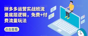 拼多多运营实战班流量底层逻辑,免费+付费流量玩法-风淘社