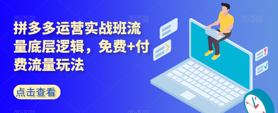 拼多多运营实战班流量底层逻辑,免费+付费流量玩法-风淘社