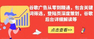 谷歌广告从零到精通,包含关键词筛选,登陆页深度策划,谷歌后台详细解读等-风淘社