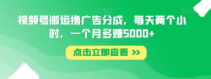 视频号搬运撸广告分成，每天两个小时，一个月多赚5000+-风淘社