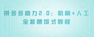 拼多多助力2.0：机刷+人工全套喂饭式教程【揭秘】-风淘社