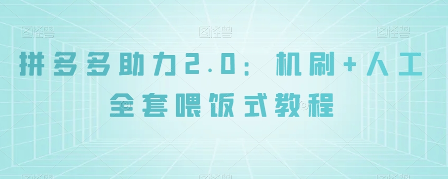 拼多多助力2.0:机刷+人工全套喂饭式教程【揭秘】-风淘社