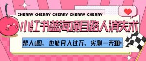 小红书蓝海项目路人消失术，帮人p图，也能月入过万，实测一天300+【揭秘】-风淘社