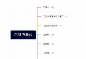白羽·直引万搜索全篇，从0-1，多个类目实操经验总结付费-风淘社