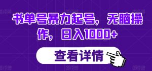 书单号暴力起号，无脑操作，日入1000+【揭秘】-风淘社