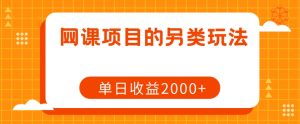 网课项目的另类玩法,单日收益2000+【揭秘】-风淘社