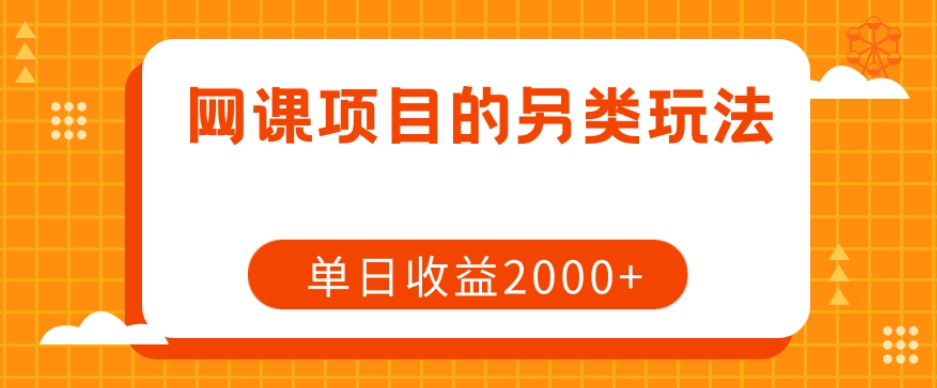 网课项目的另类玩法，单日收益2000+【揭秘】-风淘社