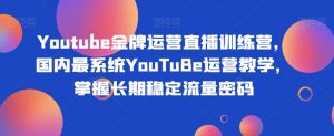 Youtube金牌运营直播训练营,国内最系统YouTuBe运营教学,掌握长期稳定流量密码-风淘社