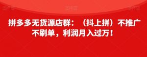 拼多多无货源店群：（抖上拼）不推广不刷单，利润月入过万！【揭秘】-风淘社