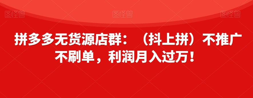 拼多多无货源店群：（抖上拼）不推广不刷单，利润月入过万！【揭秘】-风淘社