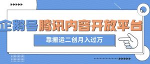 最新蓝海项目,企鹅号腾讯内容开放平台项目,靠搬运二创月入过万【揭秘】-风淘社