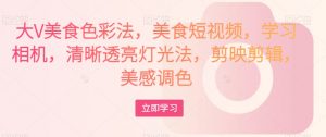 大V美食色彩法，美食短视频，学习相机，清晰透亮灯光法，剪映剪辑，美感调色-风淘社