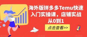海外版拼多多Temu快速入门实操课,店铺实战从0到1-风淘社