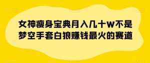 女神瘦身宝典月入几十W不是梦空手套白狼赚钱最火的赛道【揭秘】-风淘社