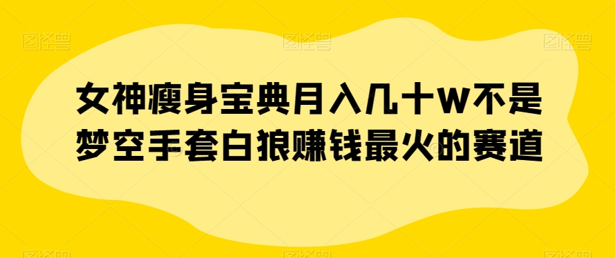 女神瘦身宝典月入几十W不是梦空手套白狼赚钱最火的赛道【揭秘】-风淘社
