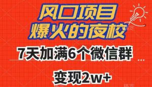 全网首发，爆火的夜校，7天加满6个微信群，变现2w+【揭秘】-风淘社