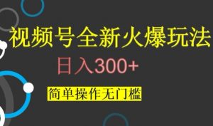 视频号最新爆火玩法,日入300+,简单操作无门槛【揭秘】-风淘社