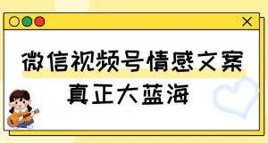 视频号情感文案，真正大蓝海，简单操作，新手小白轻松上手（教程+素材）【揭秘】-风淘社
