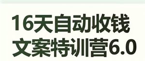 16天自动收钱文案特训营6.0,学会儿每天自动咔咔收钱-风淘社