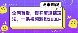 全网首发，慢开屏深情玩法，一条视频涨粉2000+【揭秘】-风淘社
