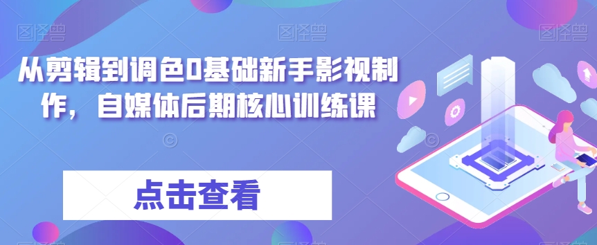 从剪辑到调色0基础新手影视制作,自媒体后期核心训练课-风淘社