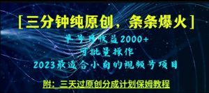三分钟制作视频号纯原创，条条爆款，轻松月入过万【揭秘】-风淘社