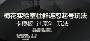 梅花实验室社群连怼起号玩法，卡模板过原创玩法【揭秘】-风淘社