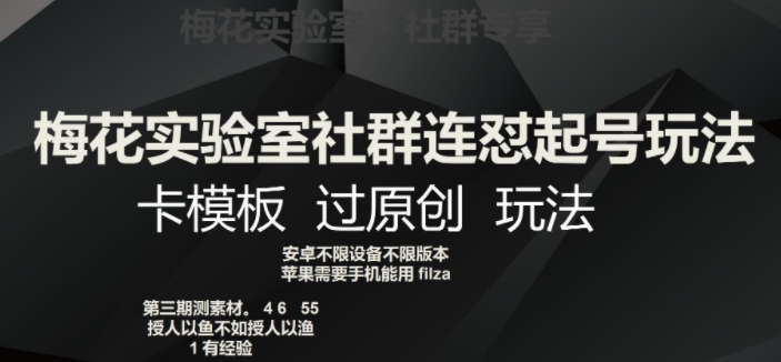 梅花实验室社群连怼起号玩法，卡模板过原创玩法【揭秘】-风淘社